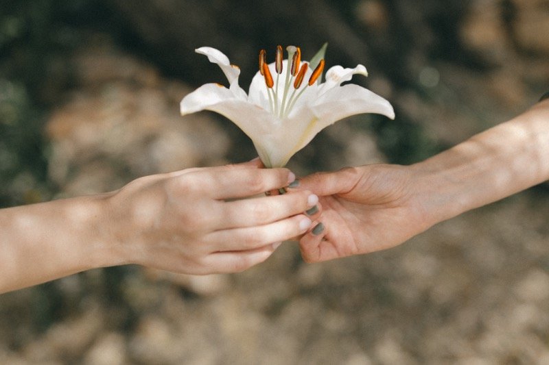 La Silvestre: 14 dies per reconnectar amb la teva creativitat
